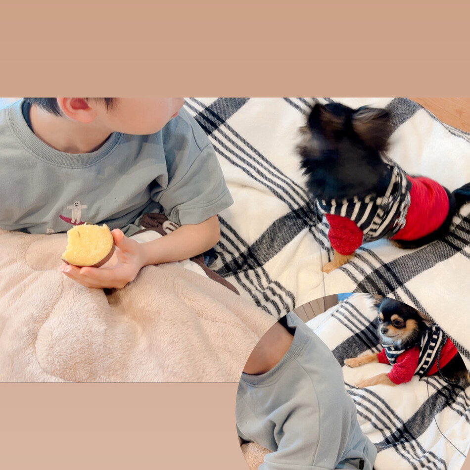 チョコのカバー写真