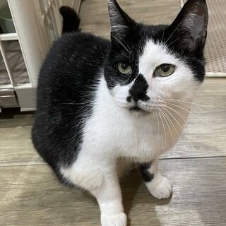 【12/25東日本橋】男は目で語るのさ♡ふくくん