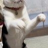 の写真