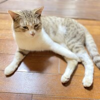 美々
