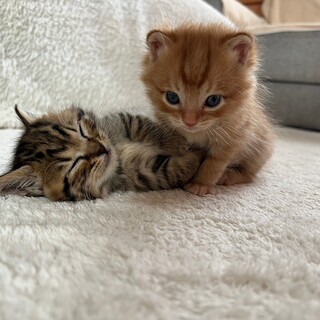 ♦︎かわいい兄妹♦︎