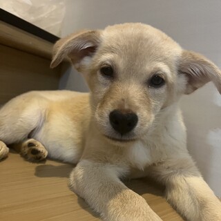 素敵なご縁がありました可愛いイケメン