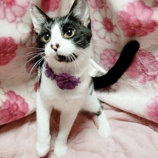 物怖じなしの抱っこ大好き王子♥️新くん