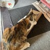 アムロミ
