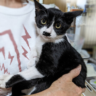 【12/25東日本橋】抱っこが大好き♥️ケイくん