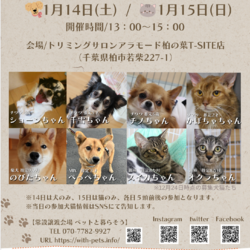 ペットと暮らそう譲渡会