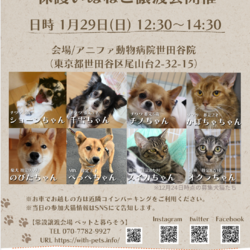 ペットと暮らそう譲渡会