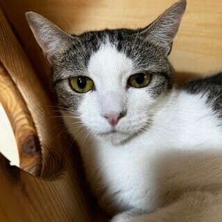 美人３姉妹のまーしー【飛騨】