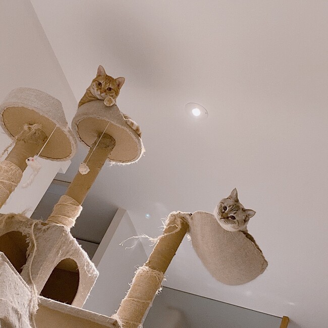 まつるんのカバー写真