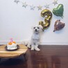 3歳のお誕生日の写真。ケガや病気もなくスクスクと元気に育ってくれてありがとう♡