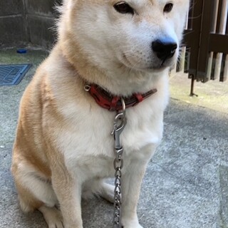 他で決まりました。