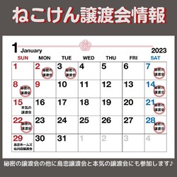 秘密の譲渡会 by ねこけん サムネイル3