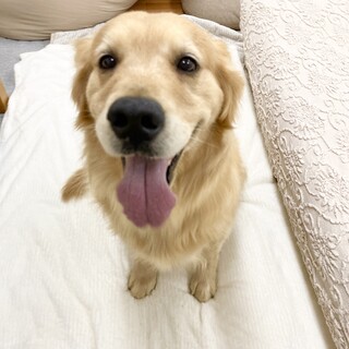 5歳の女の子です