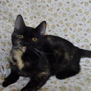 人好き甘えん坊な亜美ちゃん