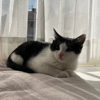 優しいメイちゃん