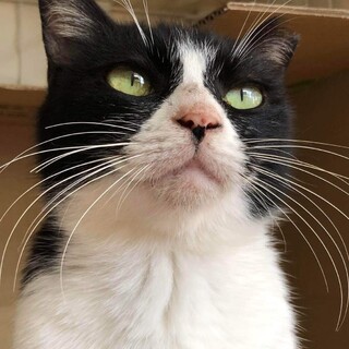 奄美から来ました✨のんびり甘えん坊なおとめちゃん