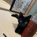 遊ぶの大好き！あさひちゃん！1年2ヶ月！