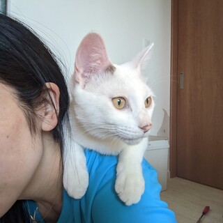 人が大好きで甘えん坊の兄弟です♪