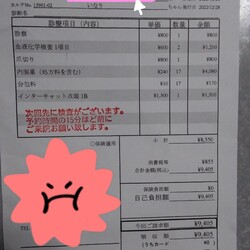 「いなりの余命」サムネイル3