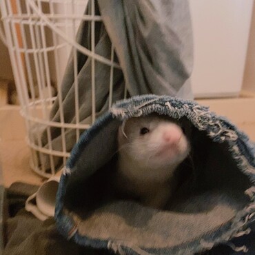 の写真