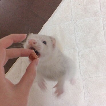 の写真