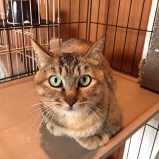 ごろすりの女の子まだ若いです❣️