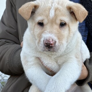 家族に加えてください