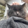 プアちゃん