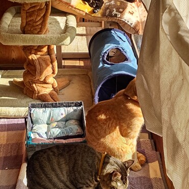 みんなで　縁側からのお見送り（笑）