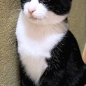 おっとりな性格のクーくん☆