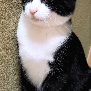 おっとりな性格のクーくん☆