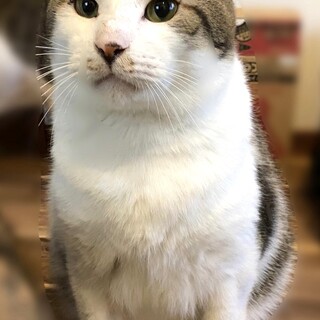 にくめない可愛さ♪ぶーちゃん！