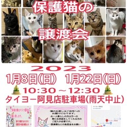 保護猫の譲渡会 サムネイル1
