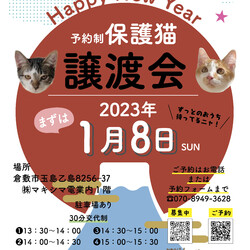 ほごねこ譲渡会（予約制）