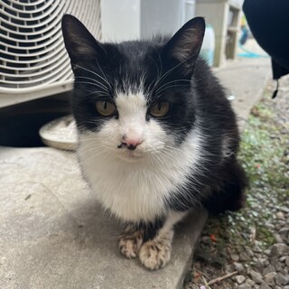 小さな男の子♡人懐っこい甘えん坊♡