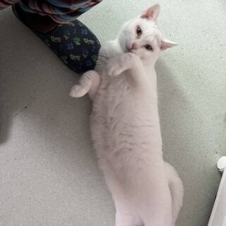 体重増やすぞ！可愛いゆきちゃん♡