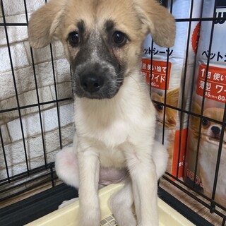 おっとり女の子✴︎家族を探してます。