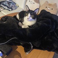 おはぎ
