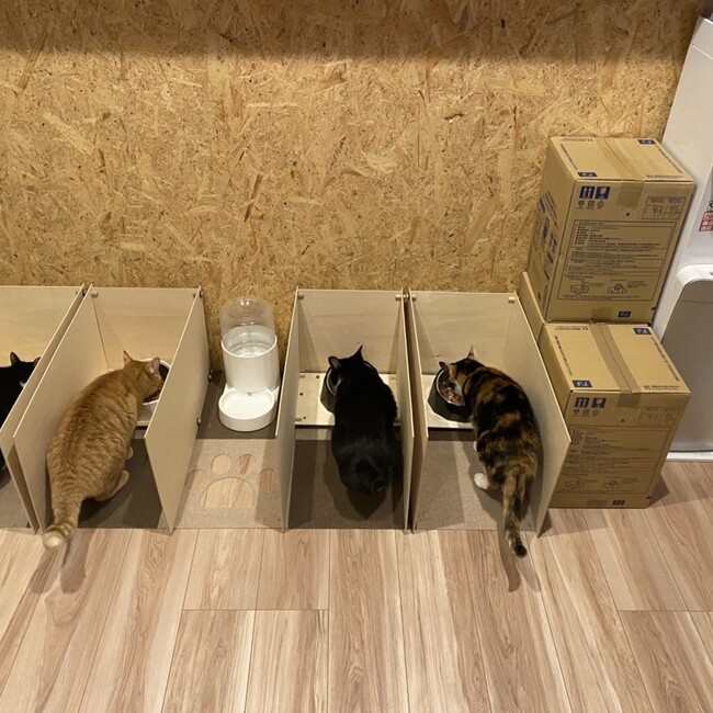 笹角のカバー写真