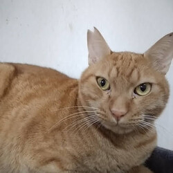 「2023年もよろしくお願いします！！」サムネイル3