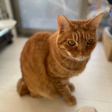 の写真
