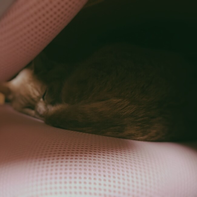 uniMのカバー写真