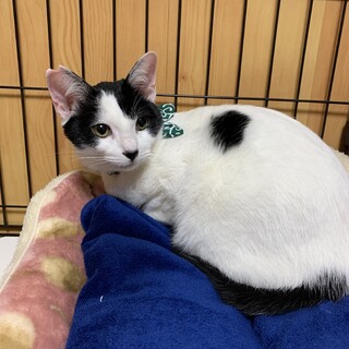 食いしん坊な男の子★レオくん