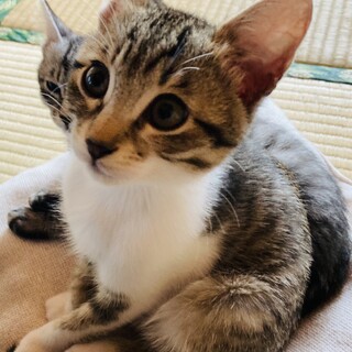 ありがとうございました