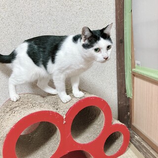 人が大好きなオカッパちゃん♪