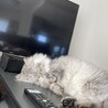 の写真