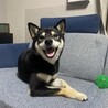 hirokim