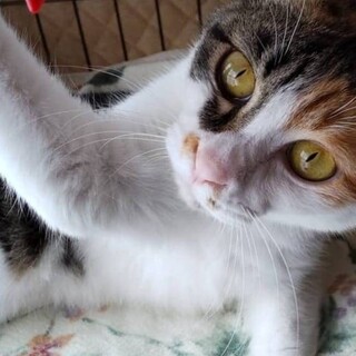 お転婆で可愛いタラミちゃん♥︎