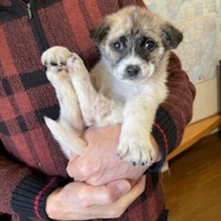 少し人見知り、でも抱っこ大好き☆ふじくん