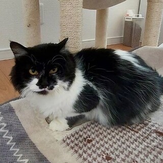 美人さんののんちゃん♥︎